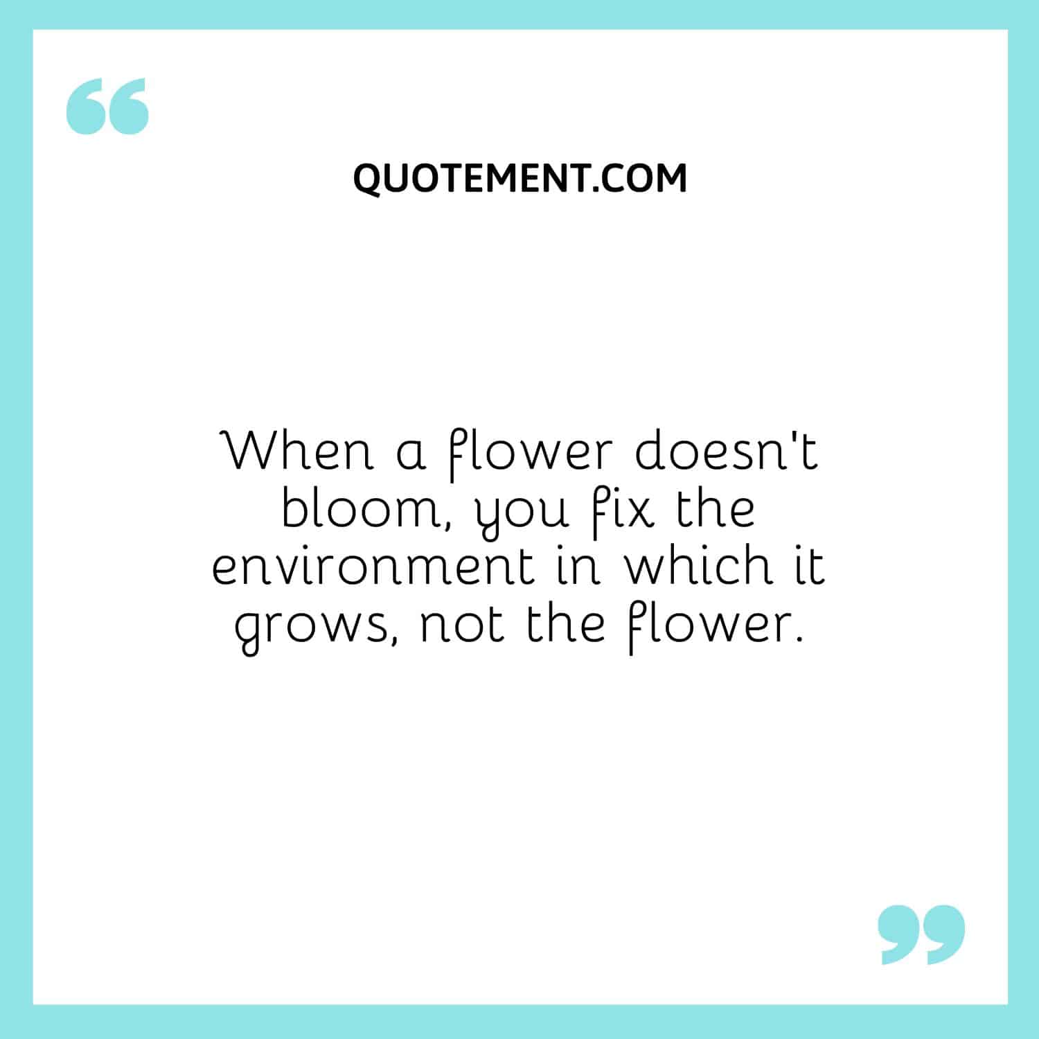 When a flower doesn't bloom, you fix the environment in which it grows, not the flower