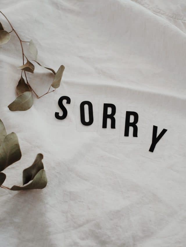Word sorry written on white background