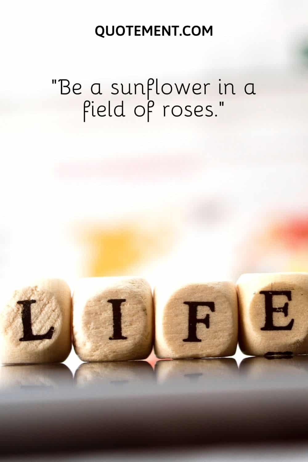 Be a sunflower in a field of roses