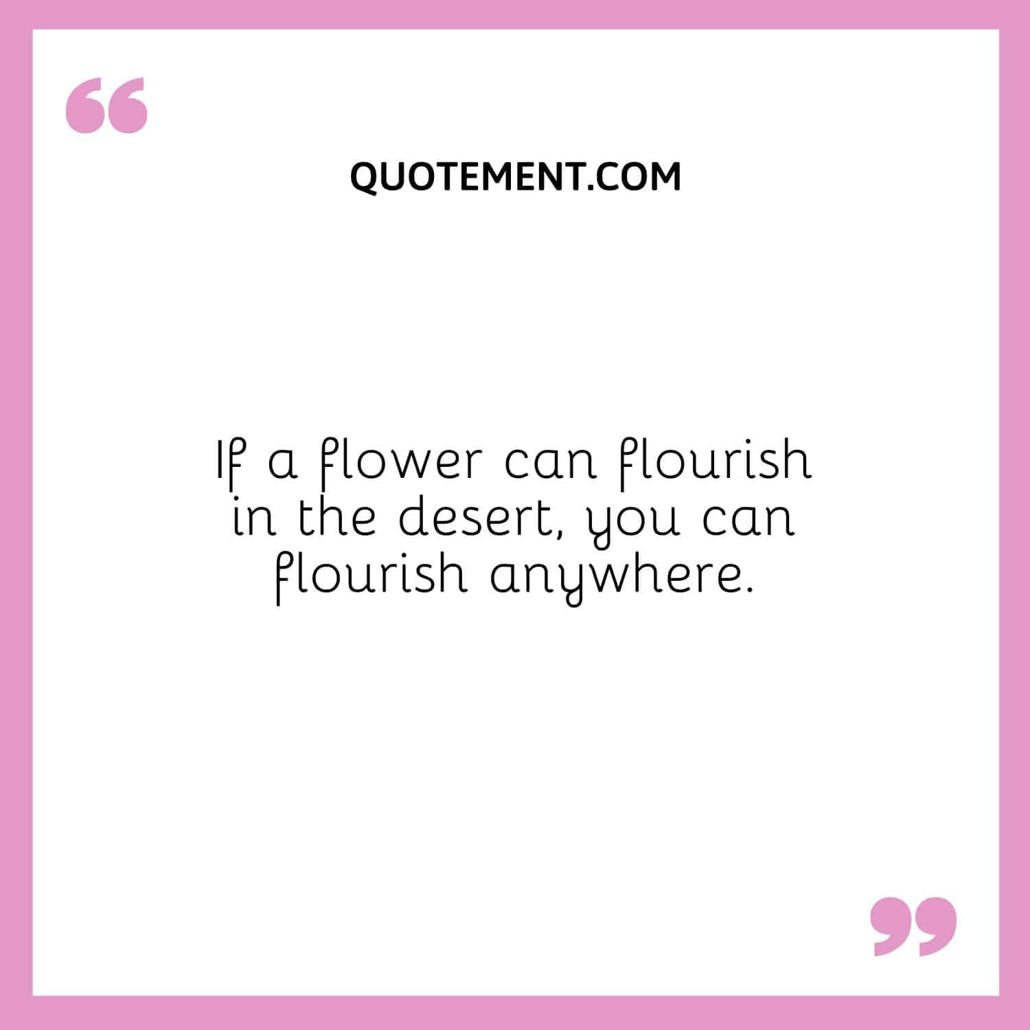 If a flower can flourish in the desert, you can flourish anywhere.
