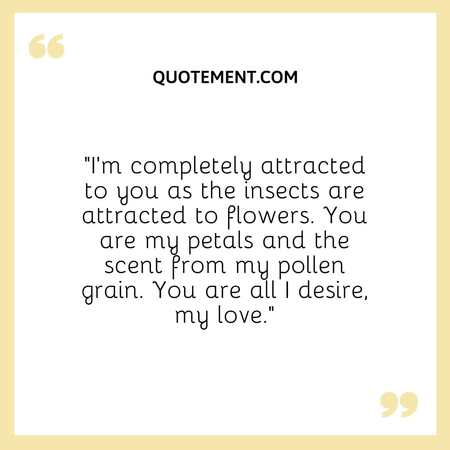 “I’m completely attracted to you as the insects are attracted to flowers. You are my petals and the scent from my pollen grain. You are all I desire, my love.”