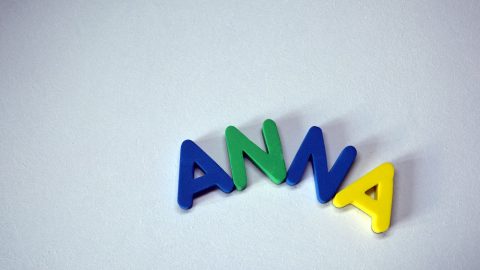 Nicknames For Anna 120 Cute And Funny Nickname Ideas Nicknames For Anna 120 Cute And Funny Nickname Ideas