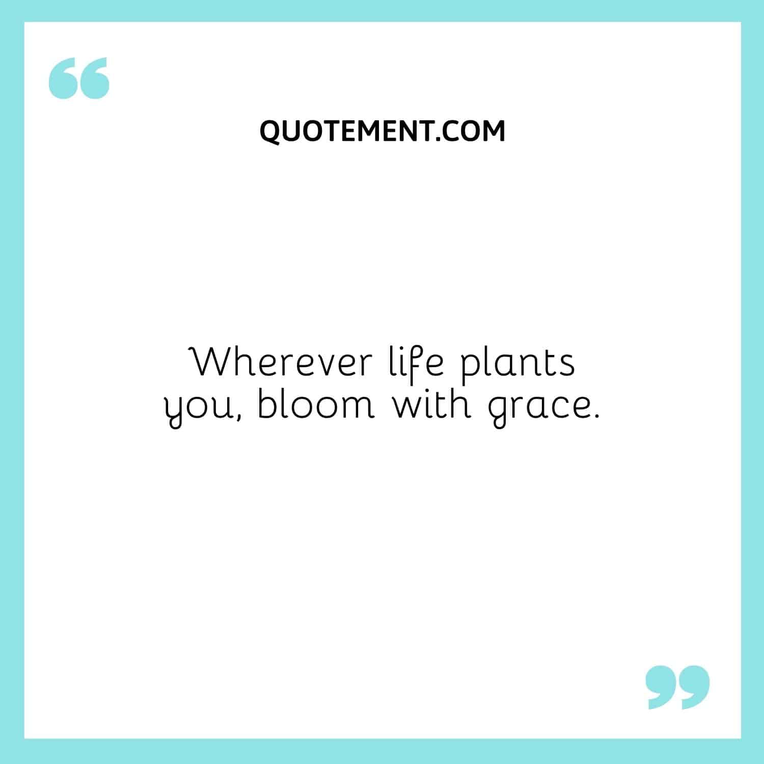 Wherever life plants you, bloom with grace.