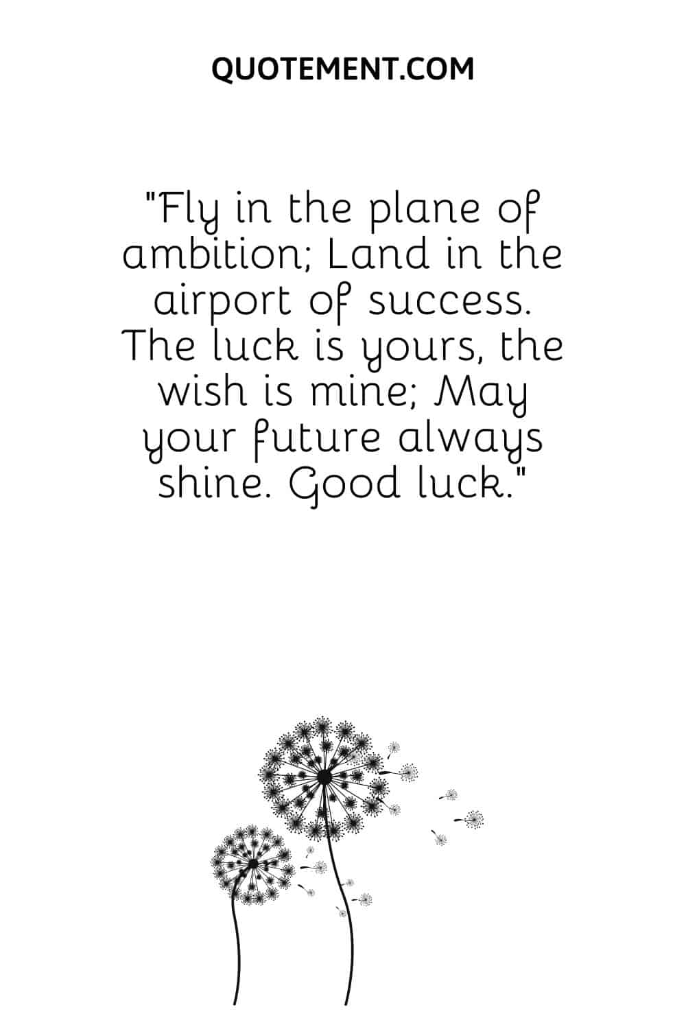 Fly in the plane of ambition; Land in the airport of success