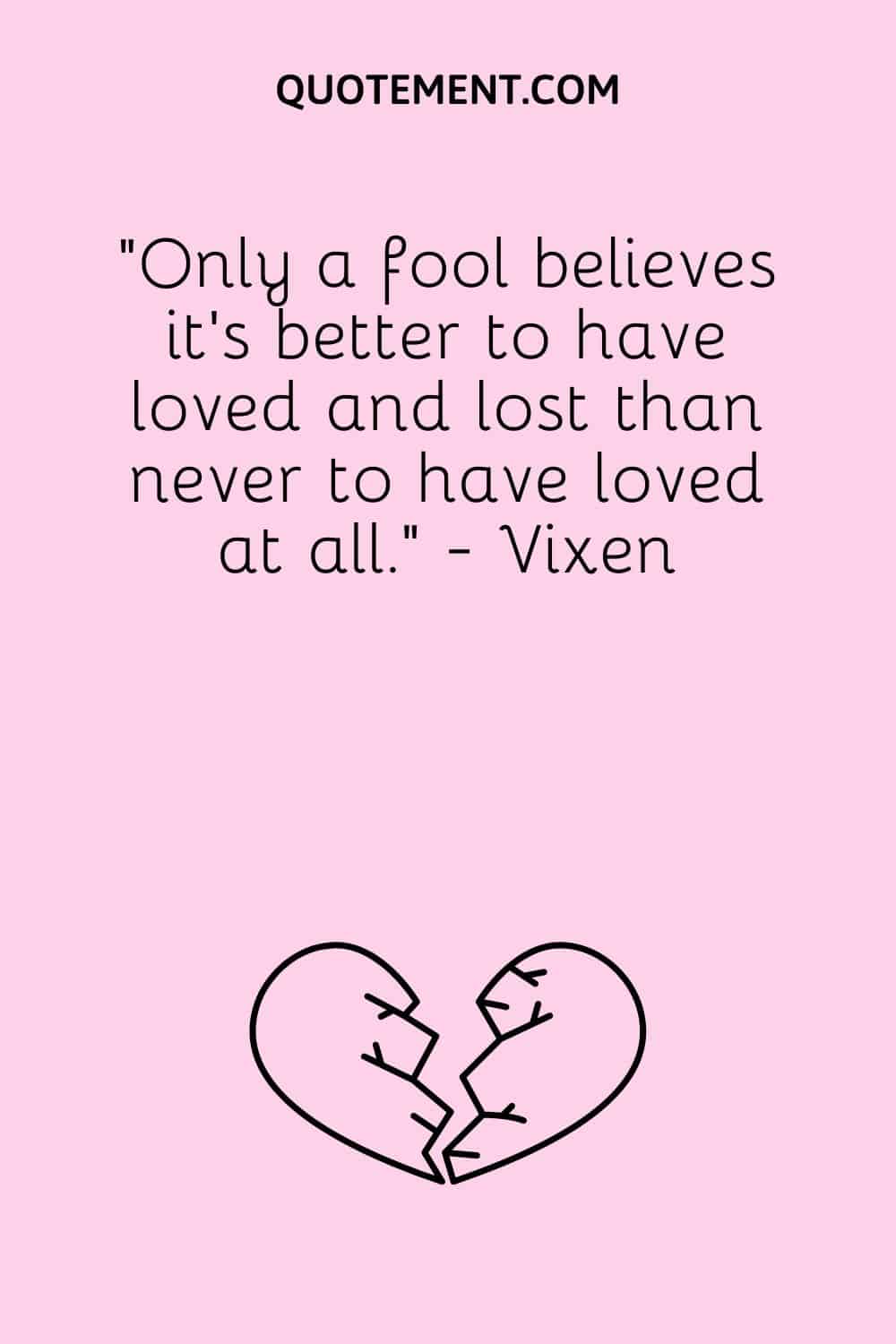 “Only a fool believes it's better to have loved and lost than never to have loved at all.” - Vixen