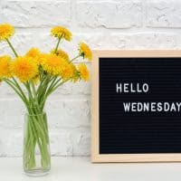 Hello Wednesday words on black letter board and bouquet of yellow dandelions