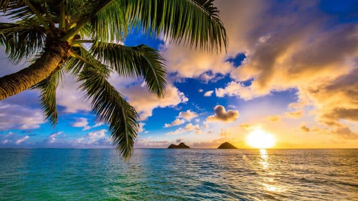 290 Hawaii Instagram Captions To Share Fun Aloha Vibes