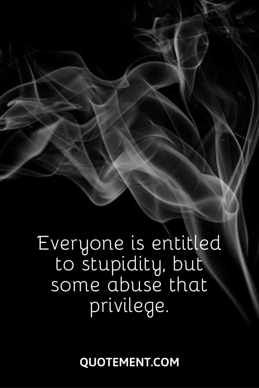 Everyone is entitled to stupidity, but some abuse that privilege.