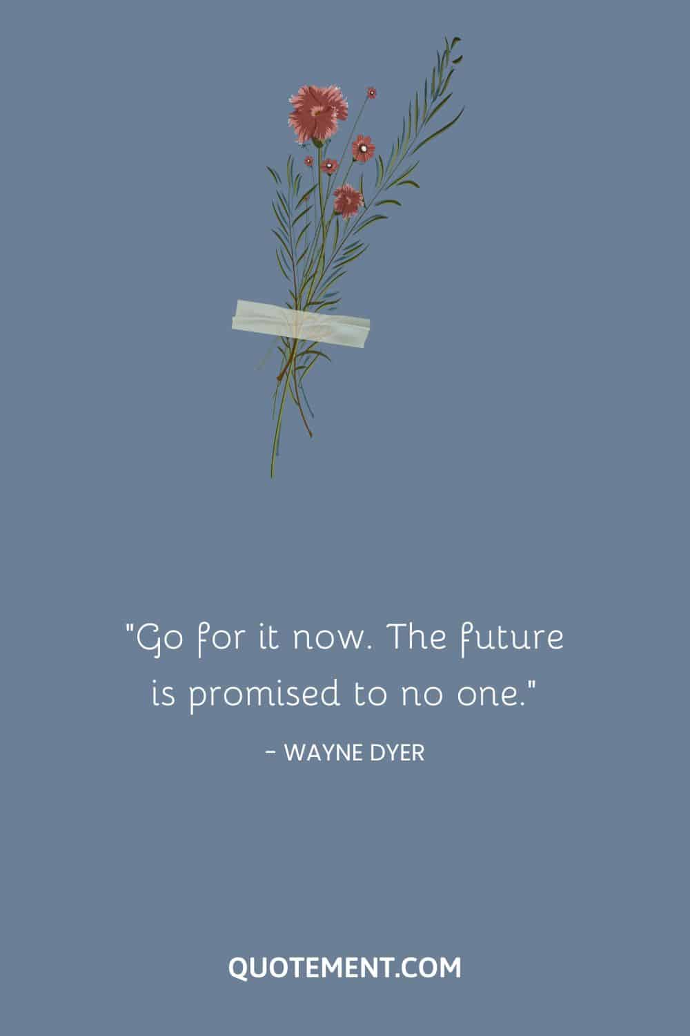 Go for it now. The future is promised to no one