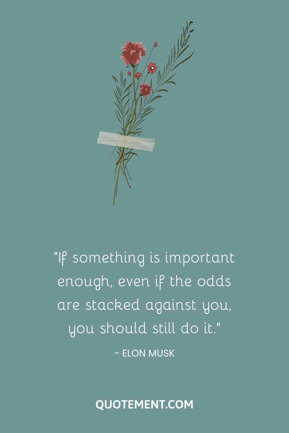 If something is important enough, even if the odds are stacked against you, you should still do it