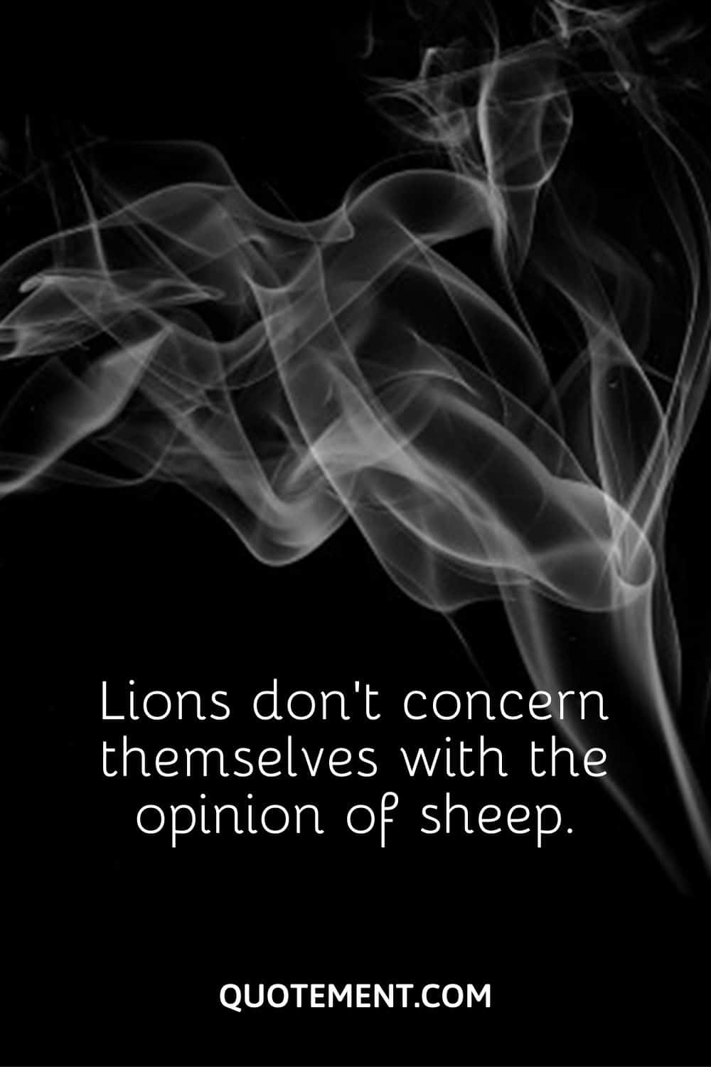 Lions don’t concern themselves with the opinion of sheep.