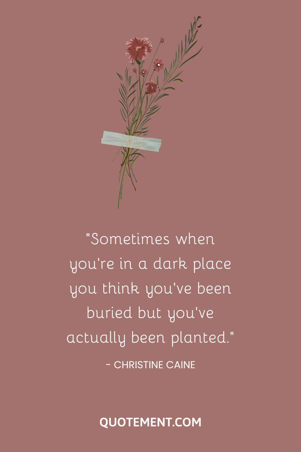 Sometimes when you’re in a dark place you think you’ve been buried but you’ve actually been planted