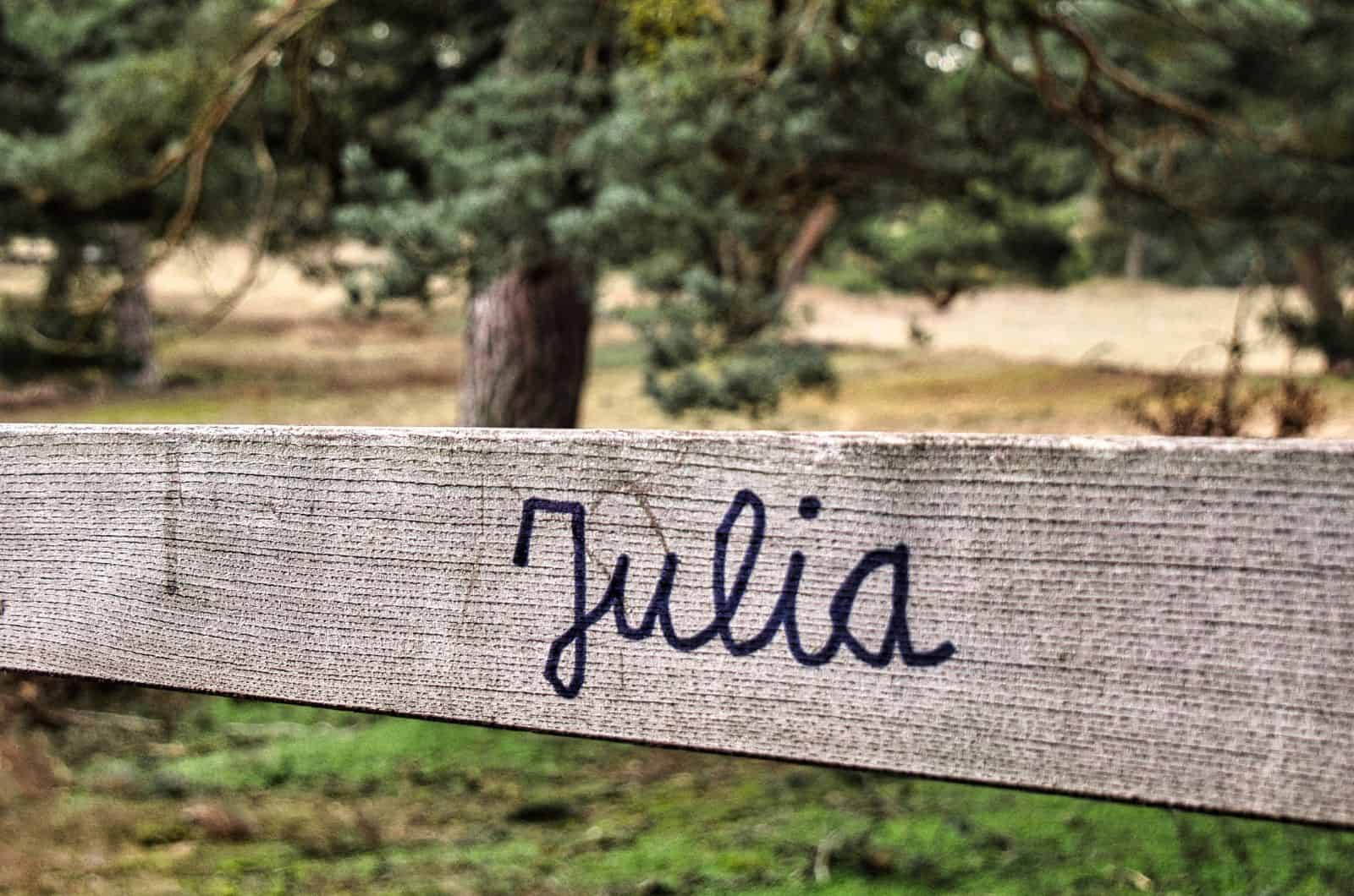 julia name on a wood