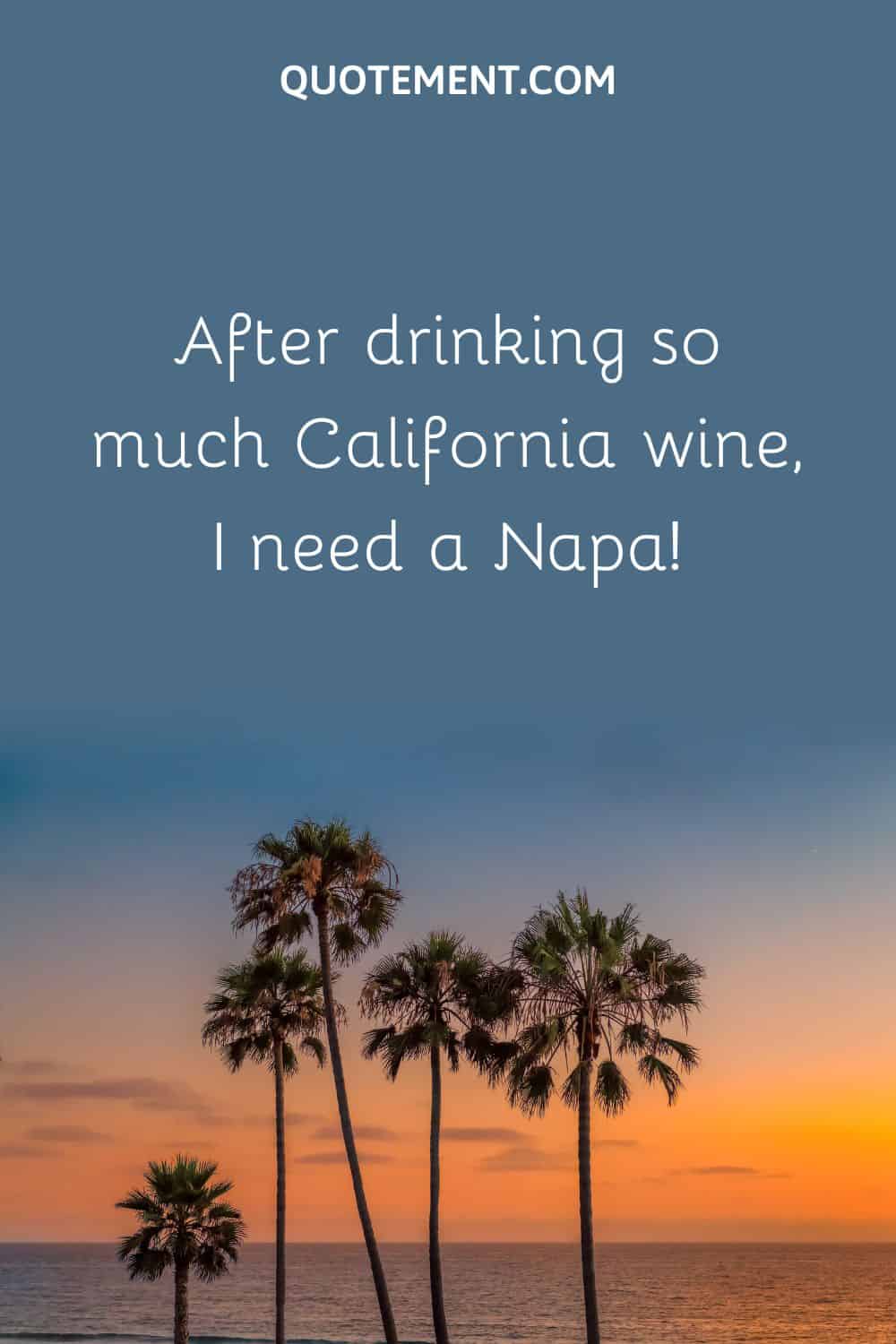 After drinking so much California wine, I need a Napa