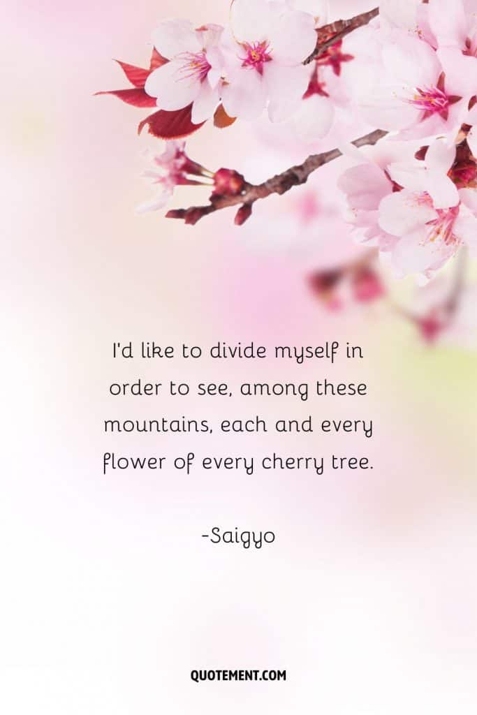 80 Best Cherry Blossom Quotes To Celebrate Perpetual Beauty