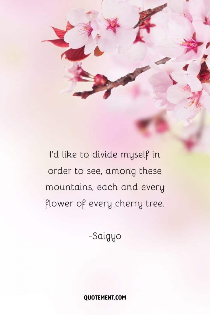 80-best-cherry-blossom-quotes-to-celebrate-perpetual-beauty