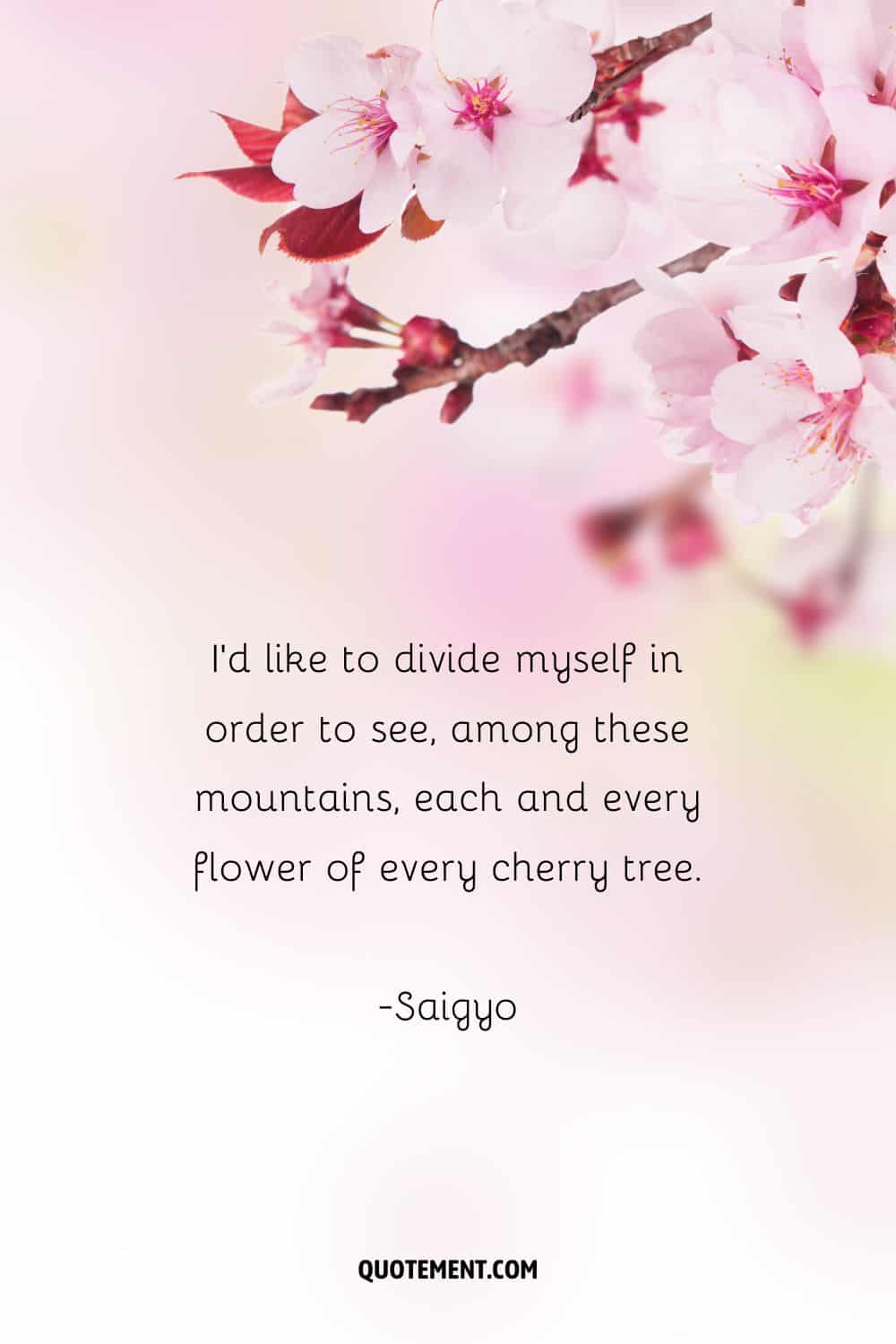 Cherry blossom quote and pinkish sakura in the background.