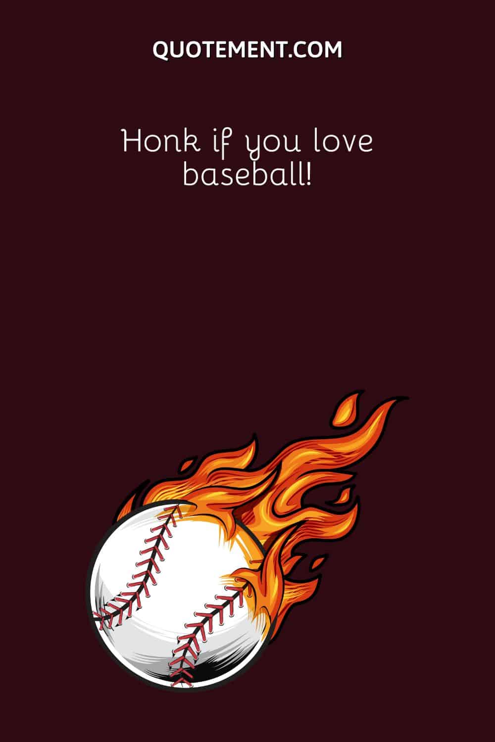 Honk if you love baseball