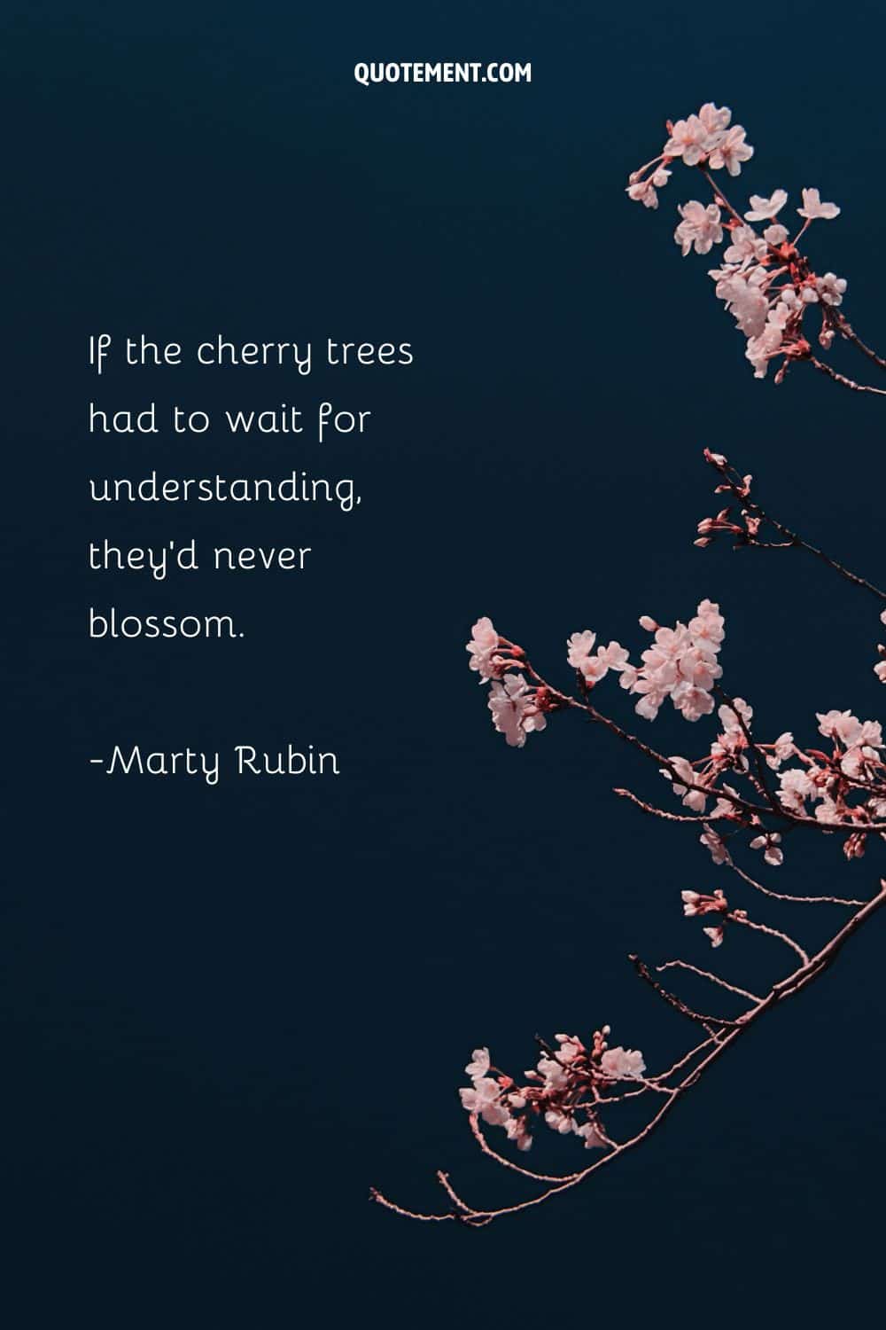 If the cherry trees had to wait for understanding, they'd never blossom