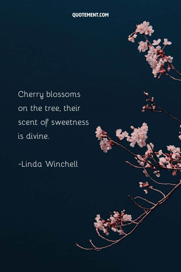 80 Best Cherry Blossom Quotes To Celebrate Perpetual Beauty