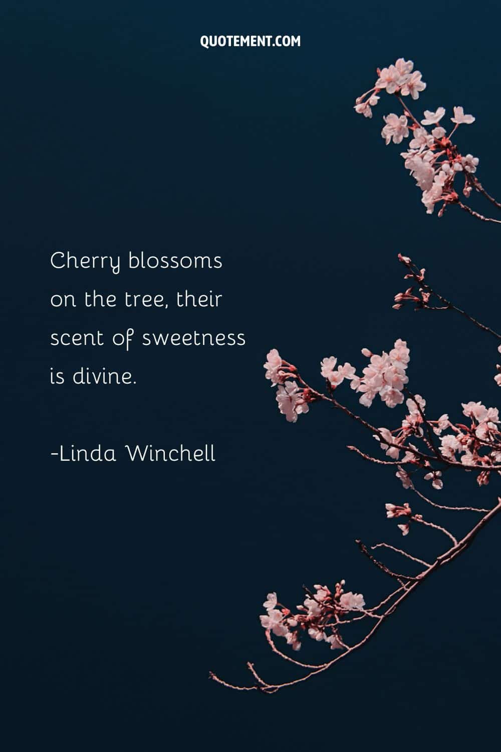 Inspirational bloom quote and cherry blossom branches.