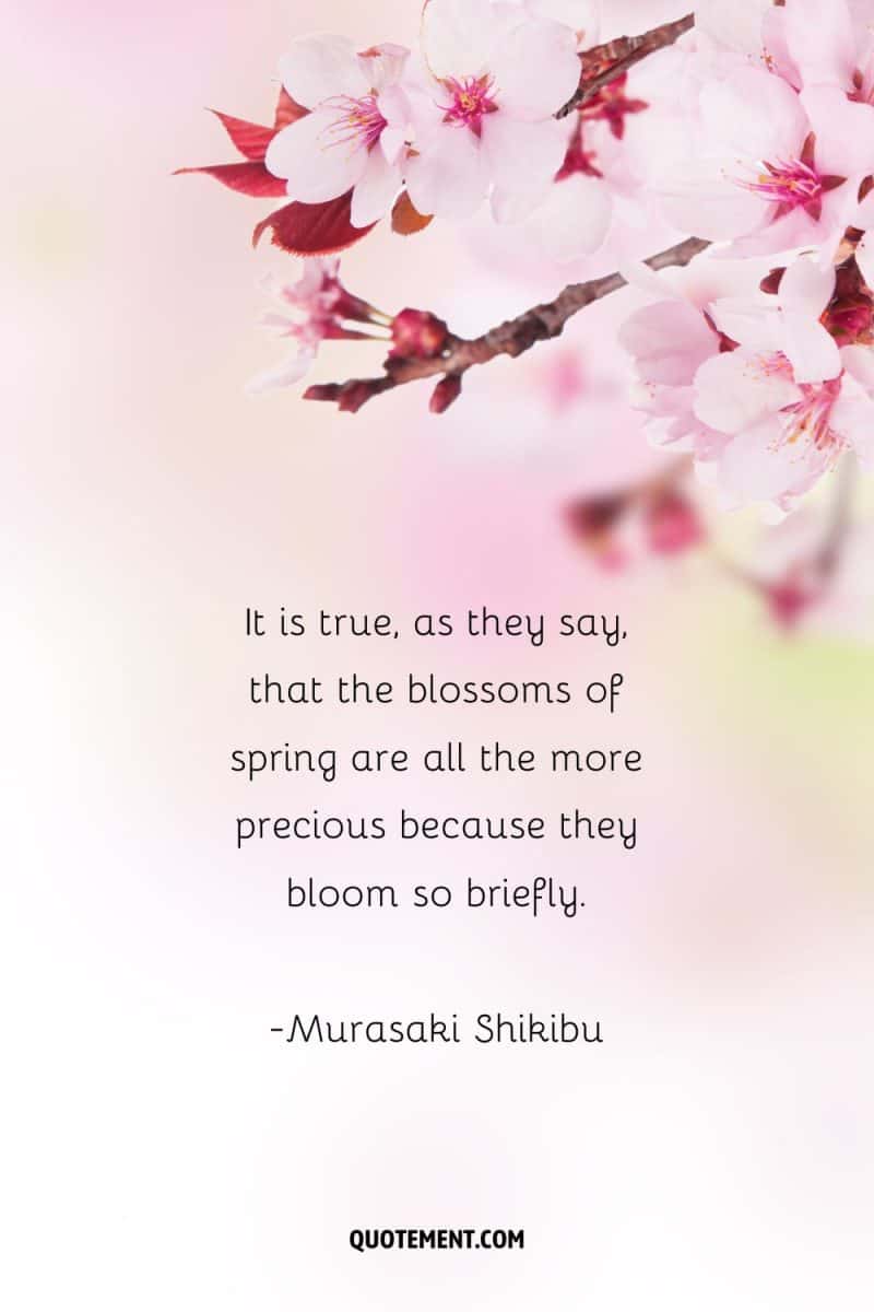 80 Best Cherry Blossom Quotes To Celebrate Perpetual Beauty