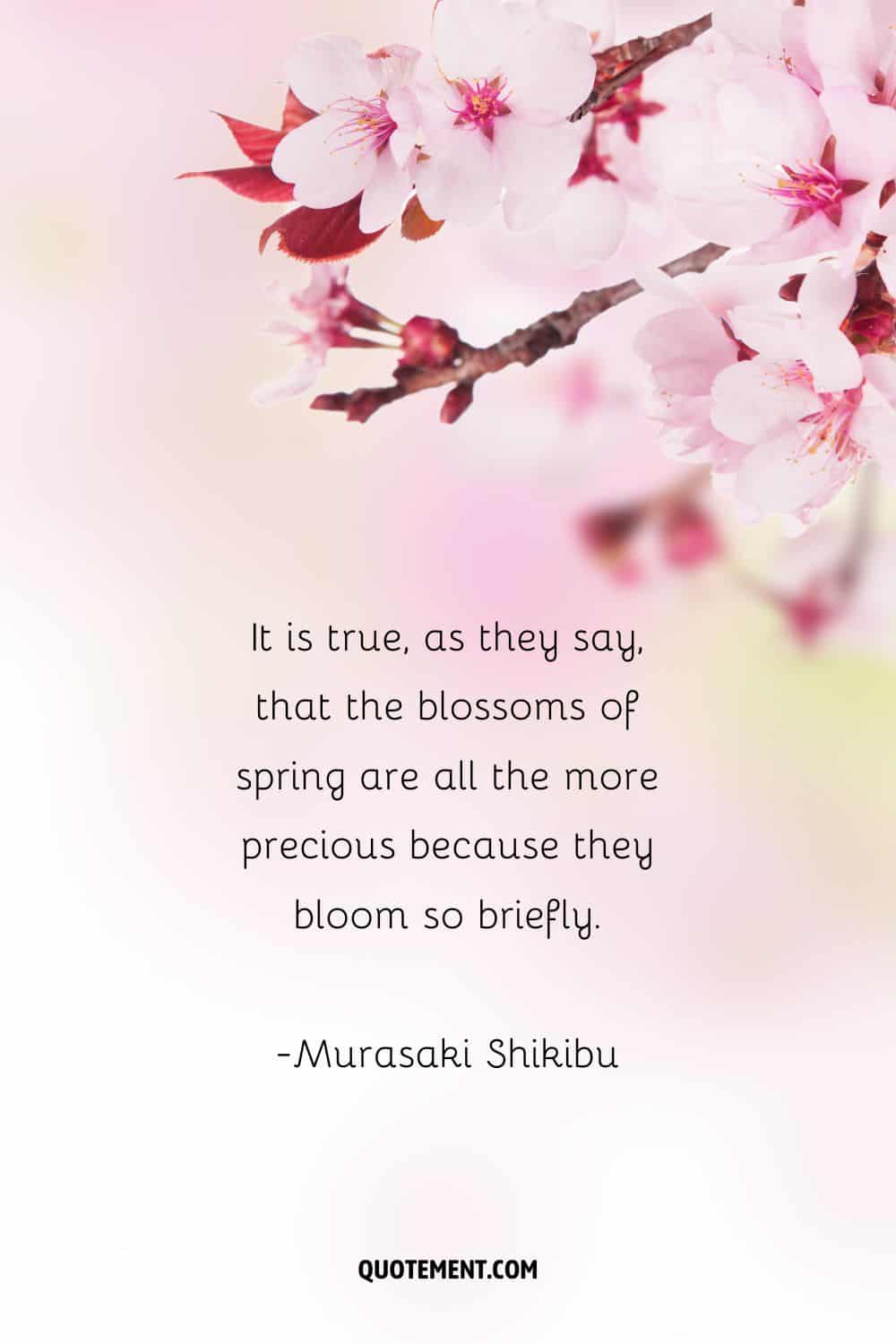 It is true, as they say, that the blossoms of spring are all the more precious because they bloom so briefly