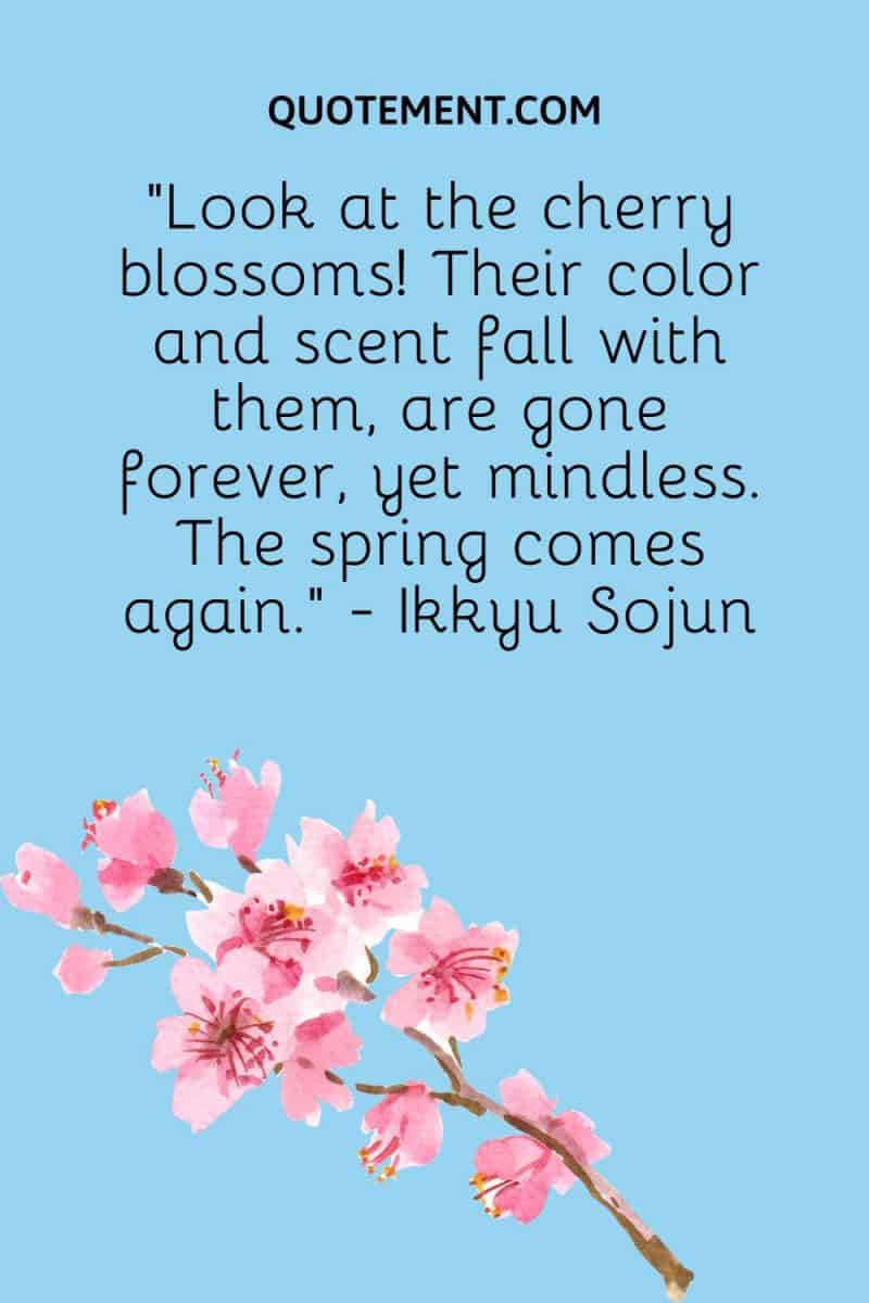 80 Best Cherry Blossom Quotes To Celebrate Perpetual Beauty