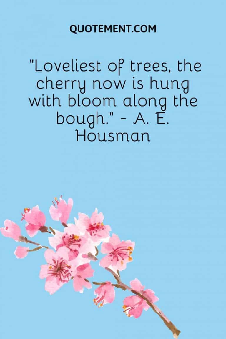 80 Best Cherry Blossom Quotes To Celebrate Perpetual Beauty