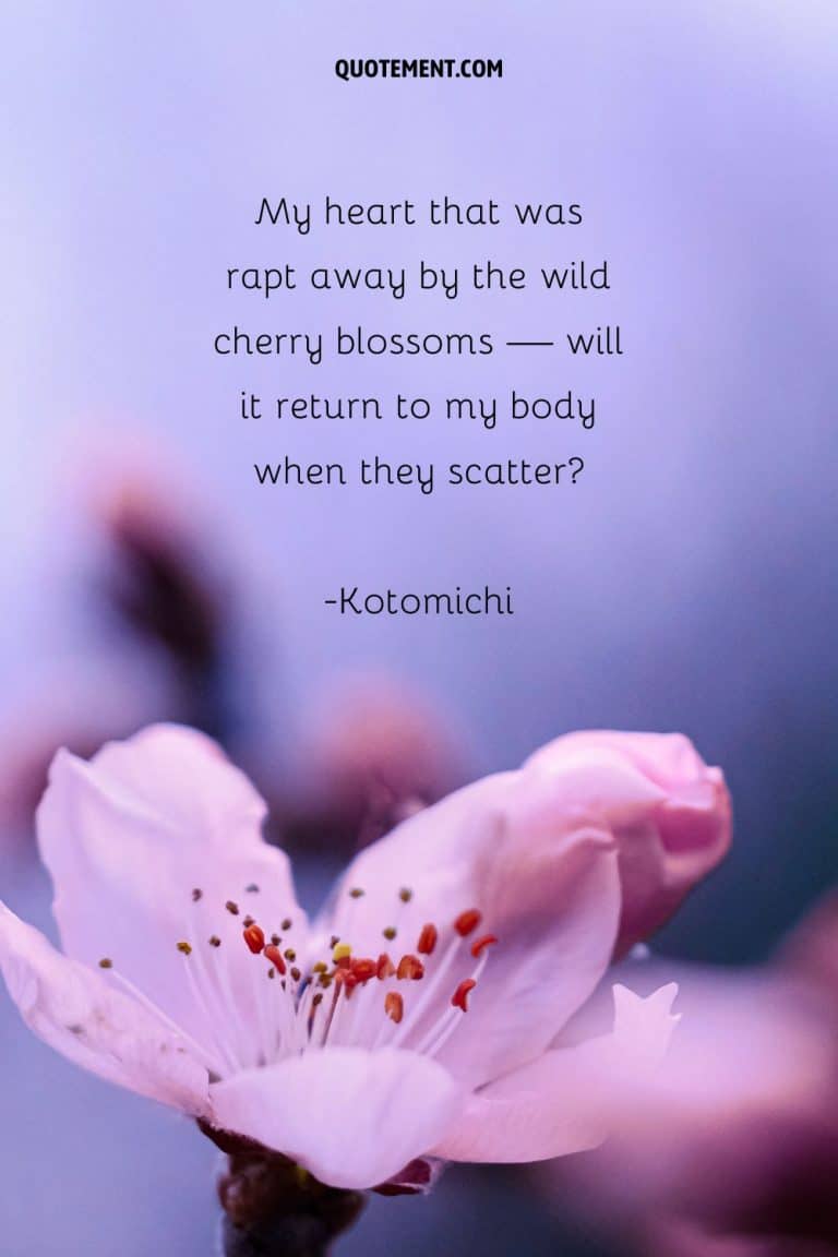 80 Best Cherry Blossom Quotes To Celebrate Perpetual Beauty