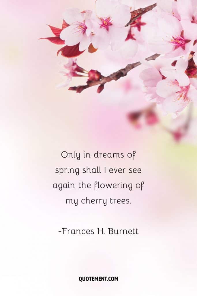 80 Best Cherry Blossom Quotes To Celebrate Perpetual Beauty