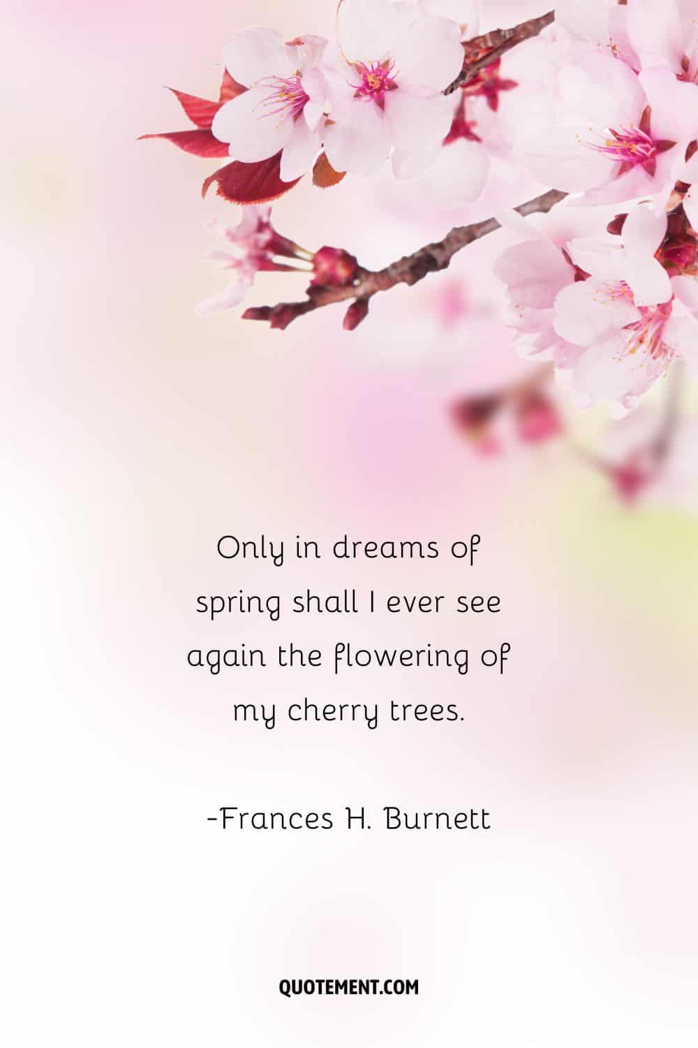 Quote about sakura and cherry blossom in the background.