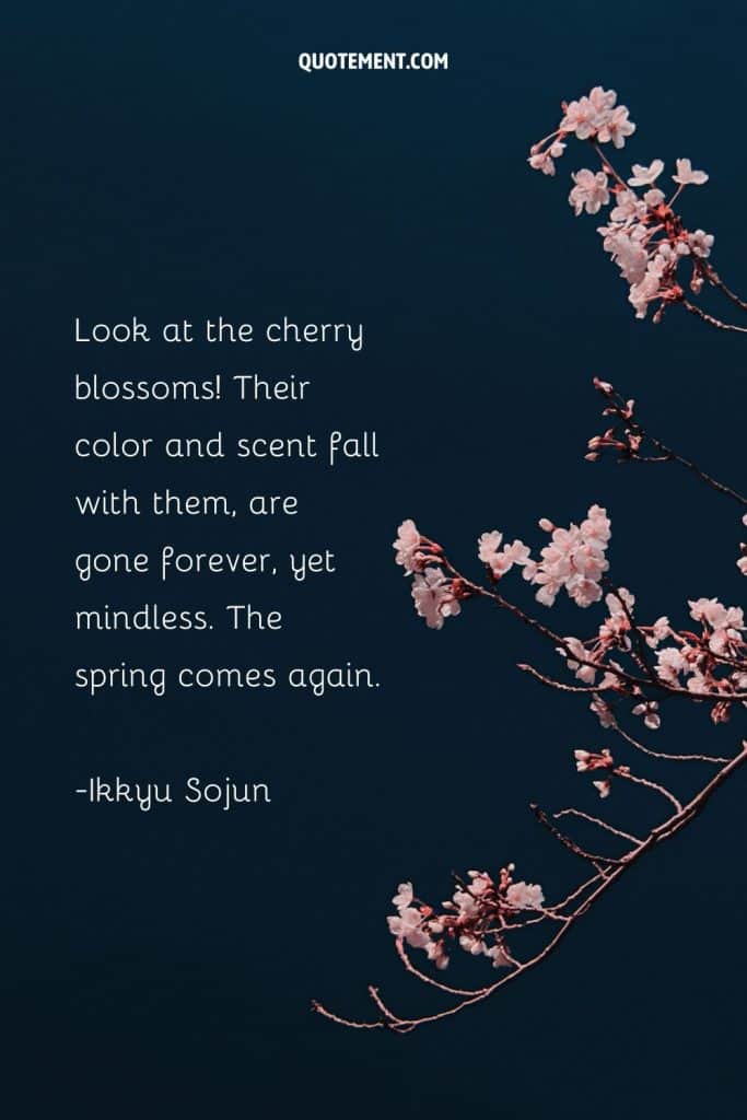 80 Best Cherry Blossom Quotes To Celebrate Perpetual Beauty