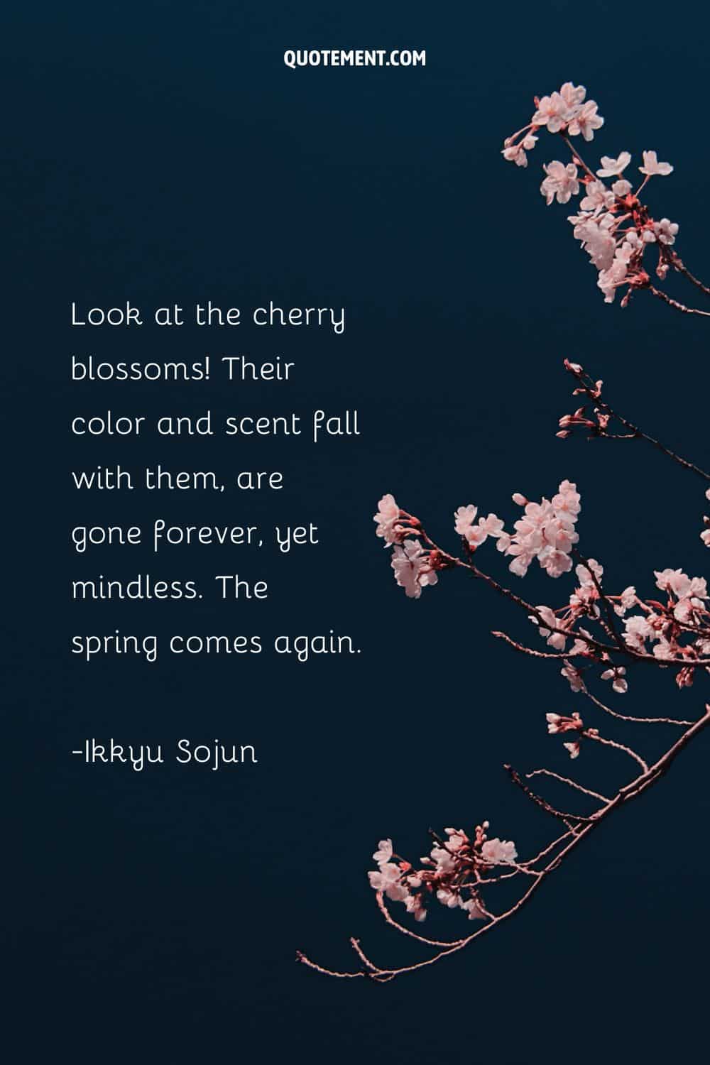 Sakura quote and cherry blossom branches.