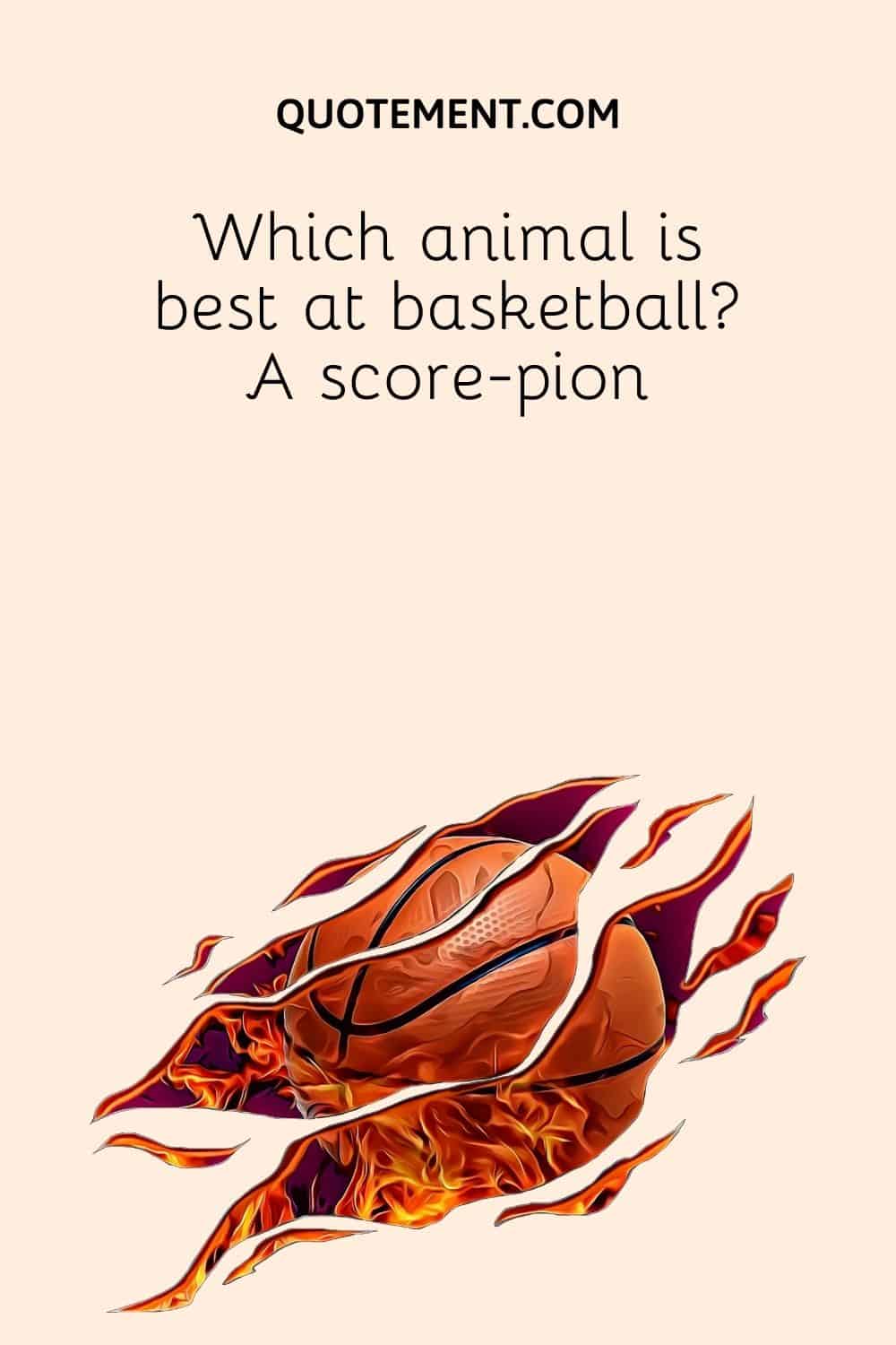 Which animal is best at basketball A score-pion