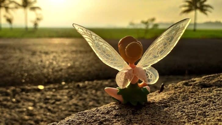 100 Tinkerbell Quotes To Get You In A Land Of Adventures