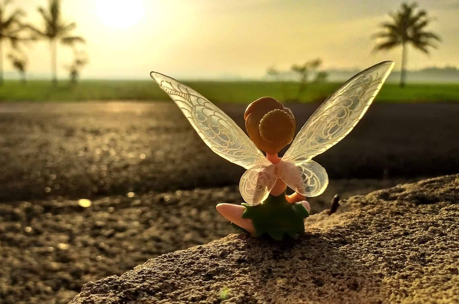Tinkerbell toy sitting looking into sunset
