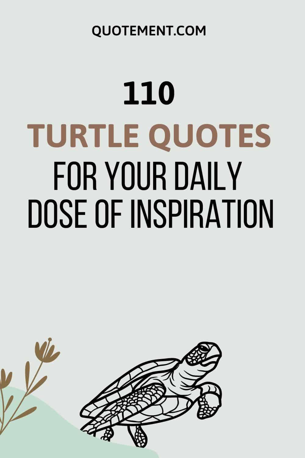 110 Turtle Quotes For Your Daily Dose Of Inspiration
