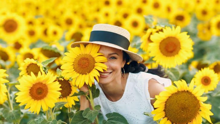 250 Unique Sunflower Captions To Spark Your Inspiration