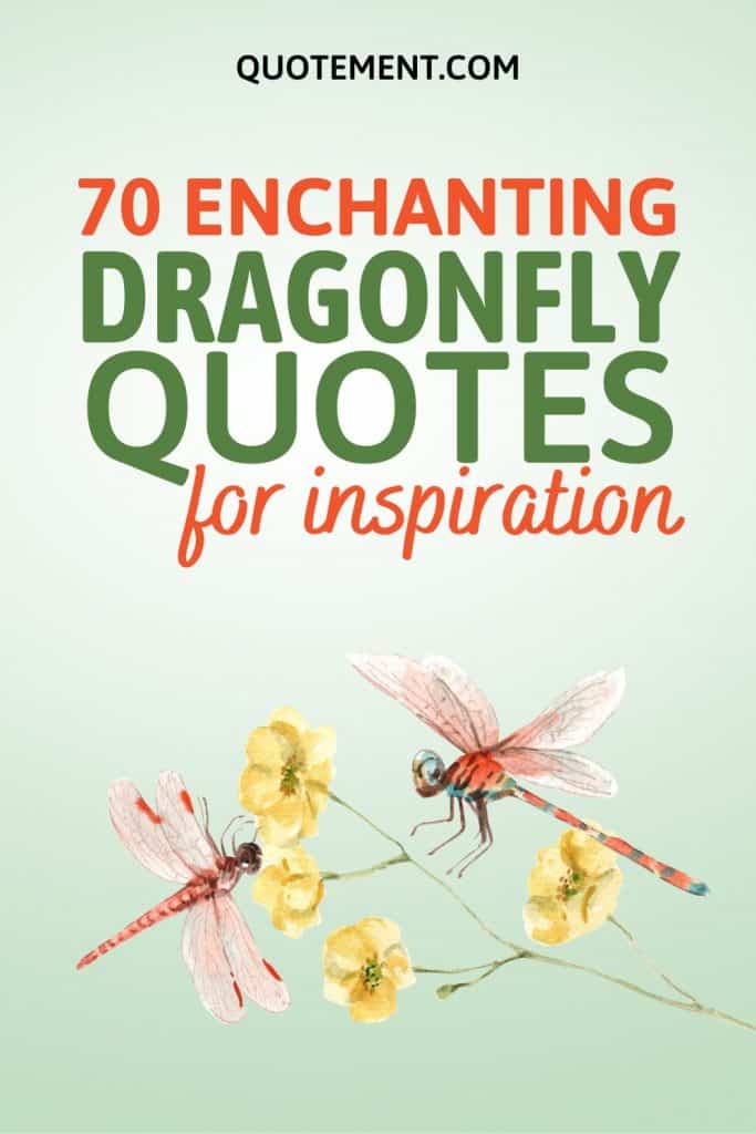 70 Enchanting Dragonfly Quotes For Wisdom And Inspiration