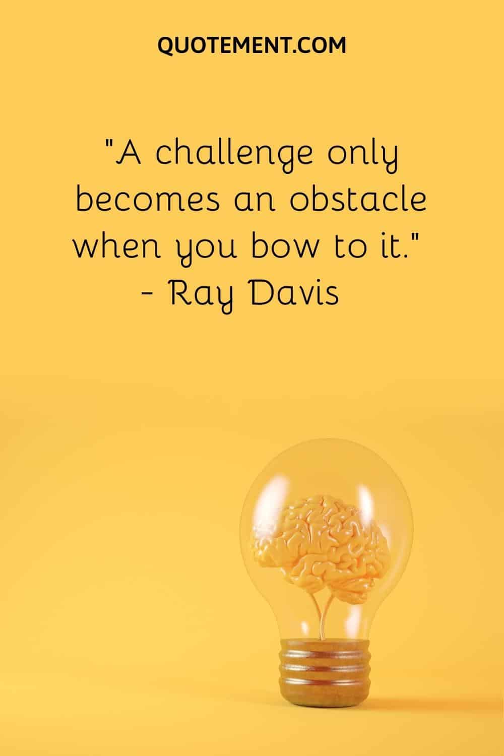 “A challenge only becomes an obstacle when you bow to it.” — Ray Davis