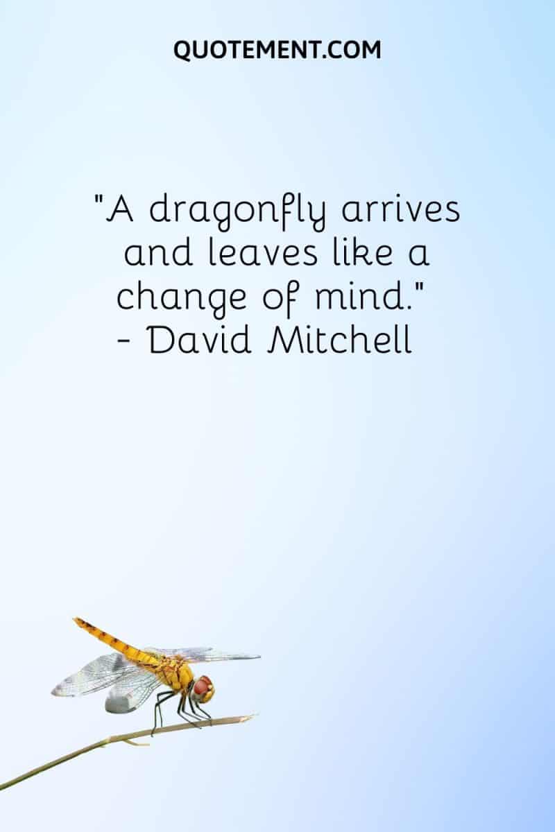 70 Enchanting Dragonfly Quotes For Wisdom And Inspiration