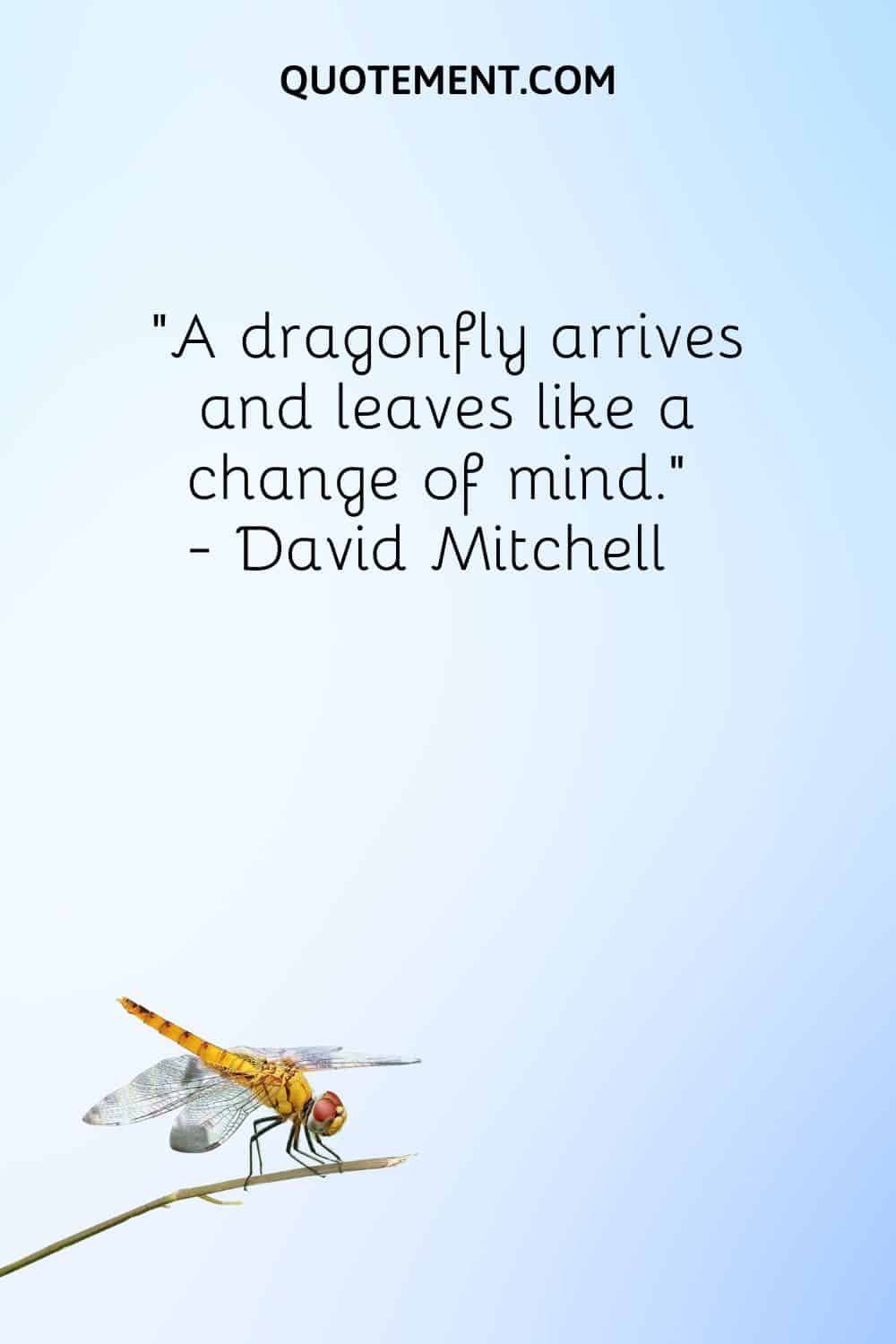 A dragonfly arrives and leaves like a change of mind.