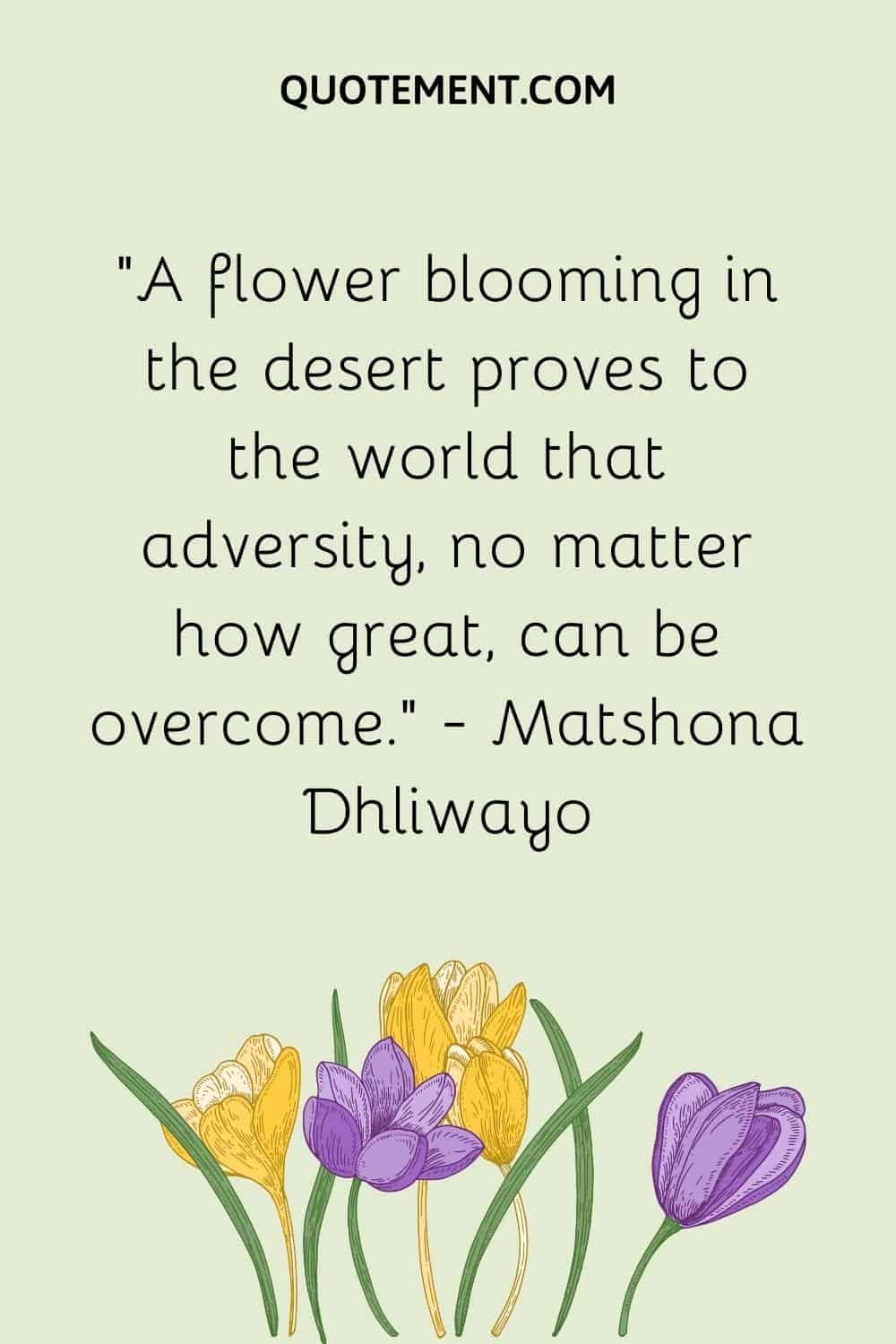 “A flower blooming in the desert proves to the world that adversity, no matter how great, can be overcome.” — Matshona Dhliwayo
