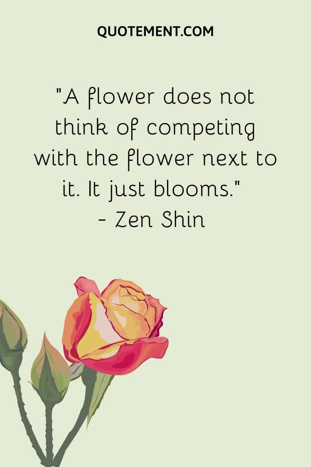 “A flower does not think of competing with the flower next to it. It just blooms.” — Zen Shin