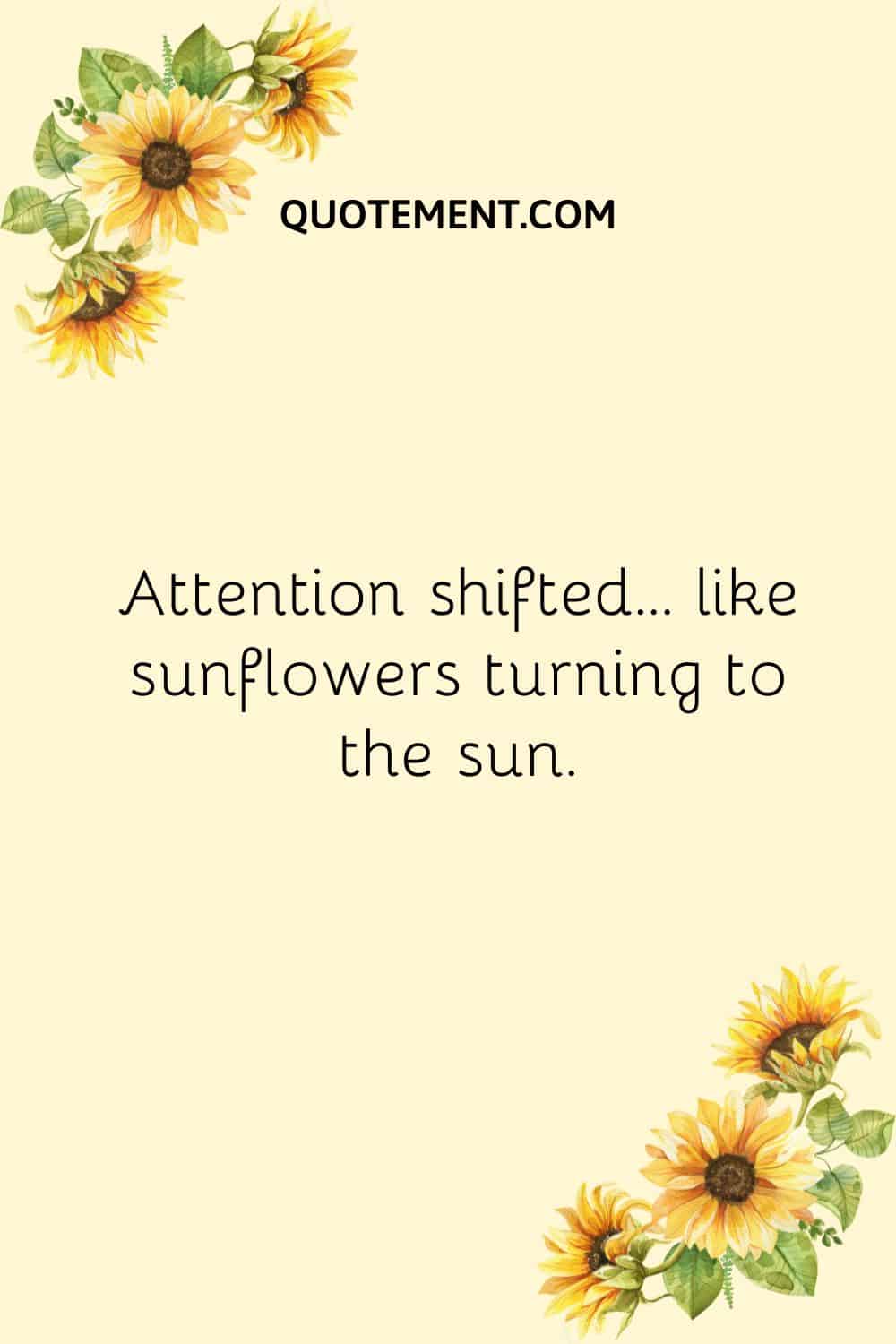 Attention shifted… like sunflowers turning to the sun.