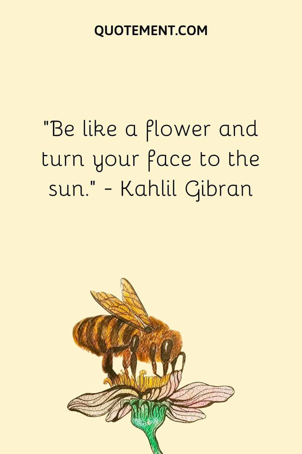 “Be like a flower and turn your face to the sun.” — Kahlil Gibran
