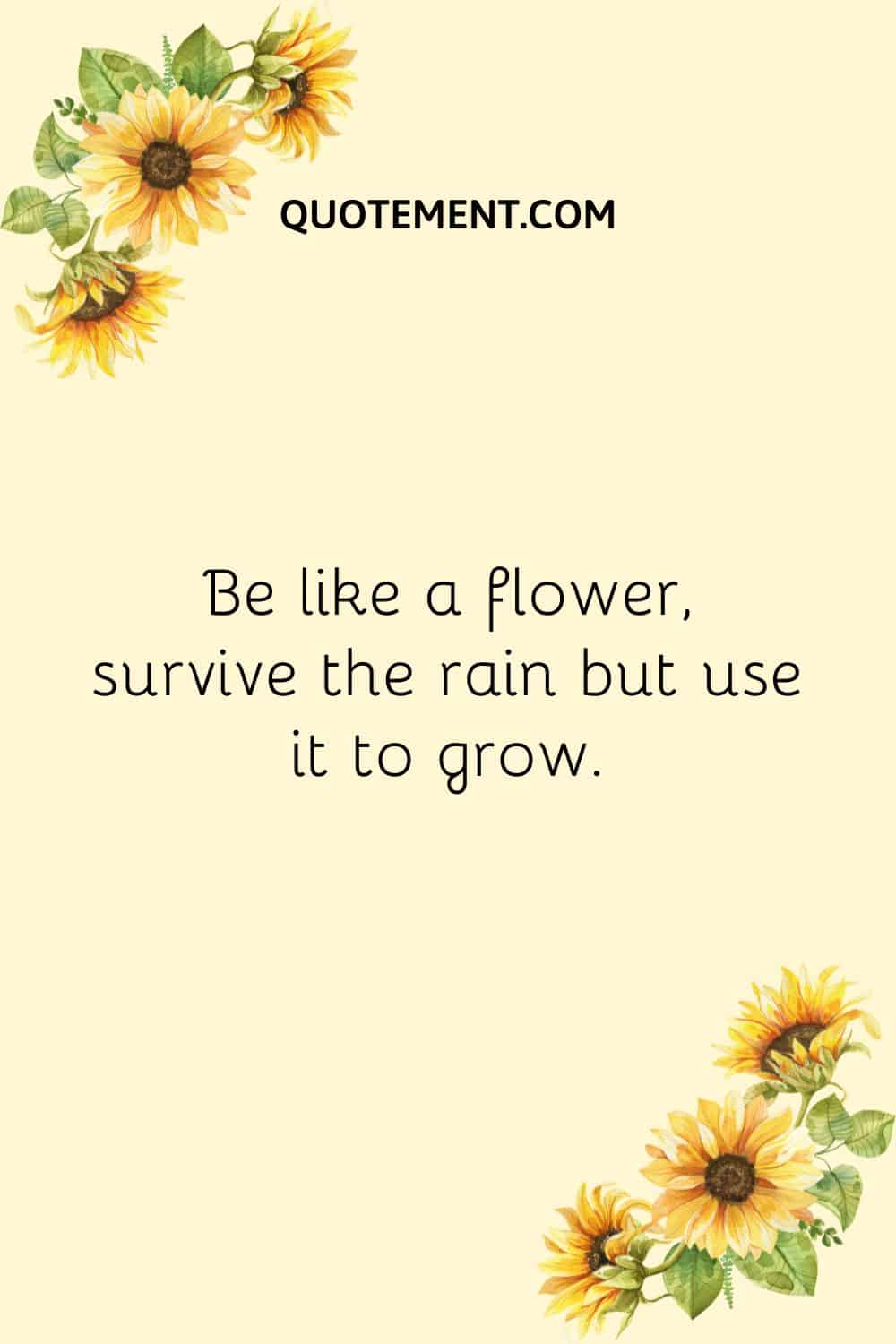 Be like a flower, survive the rain but use it to grow.