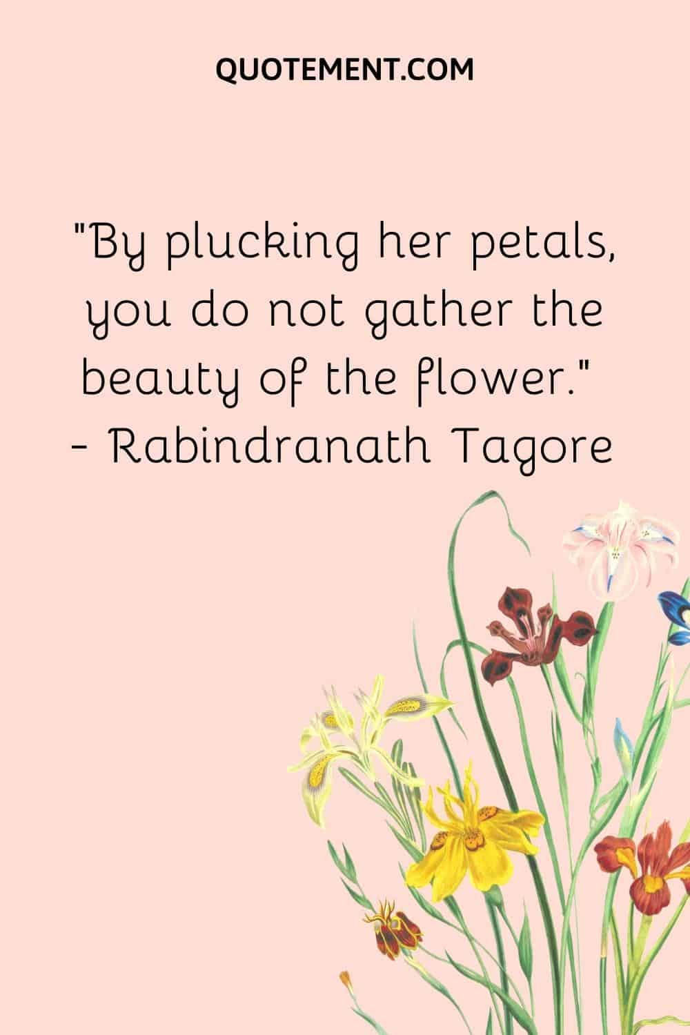 “By plucking her petals, you do not gather the beauty of the flower.” — Rabindranath Tagore