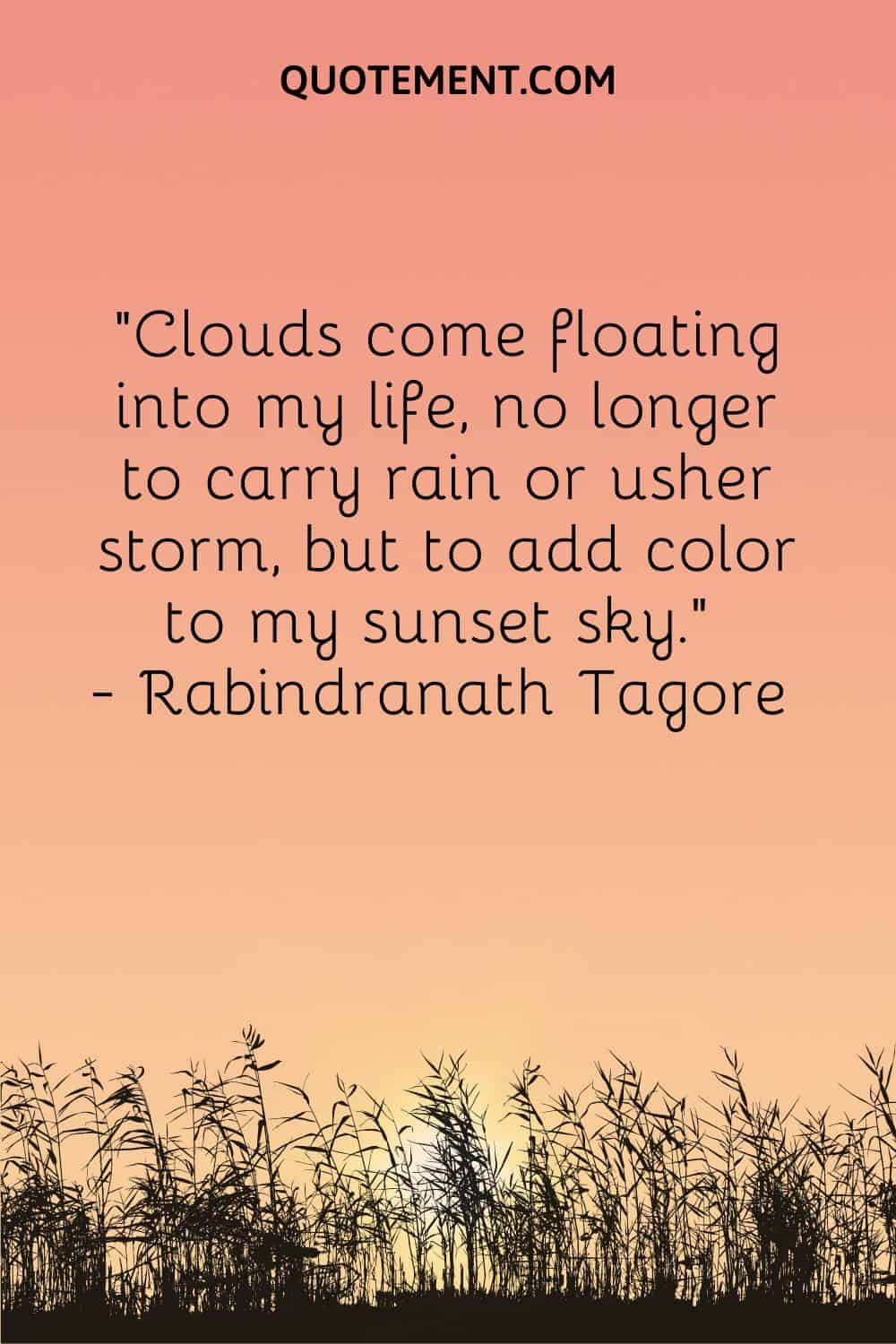 Las nubes llegan flotando a mi vida, ya no para llevar la lluvia o anunciar la tormenta, sino para dar color a mi cielo al atardecer